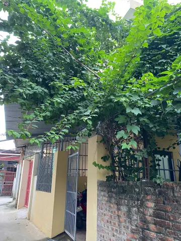 Nhà trọ Thuận Thảo – phòng trọ Hòa Lạc